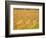 Vineyards in Fall Colors, Juanico Winery, Uruguay-Stuart Westmoreland-Framed Photographic Print