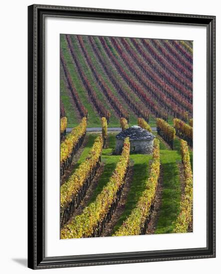 Vineyards in Fall in the Hautes-Cotes of Burgundy-Hans Strand-Framed Photographic Print