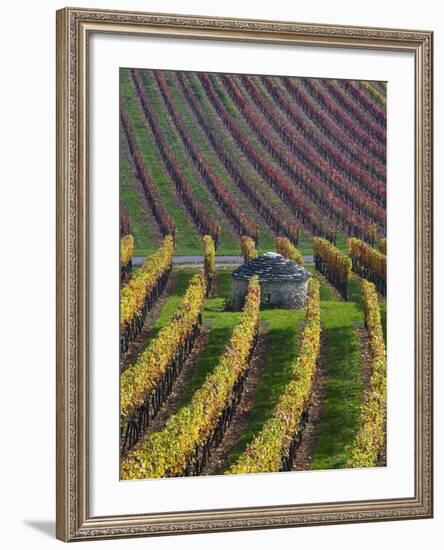 Vineyards in Fall in the Hautes-Cotes of Burgundy-Hans Strand-Framed Photographic Print