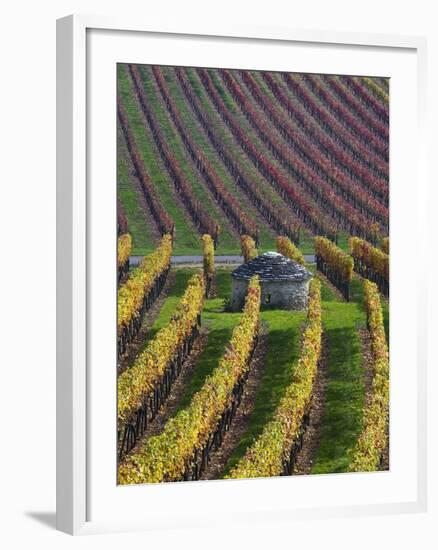 Vineyards in Fall in the Hautes-Cotes of Burgundy-Hans Strand-Framed Photographic Print