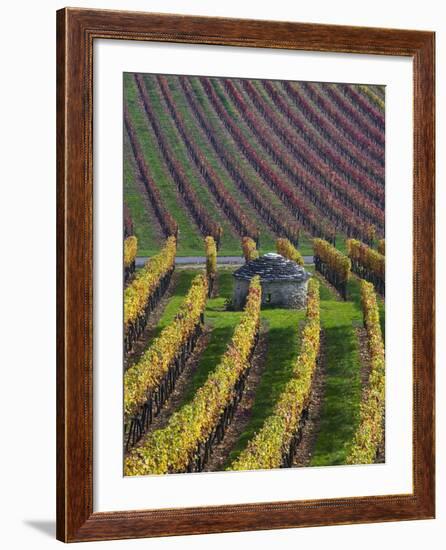 Vineyards in Fall in the Hautes-Cotes of Burgundy-Hans Strand-Framed Photographic Print