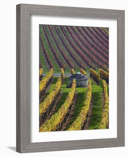 Vineyards in Fall in the Hautes-Cotes of Burgundy-Hans Strand-Framed Photographic Print