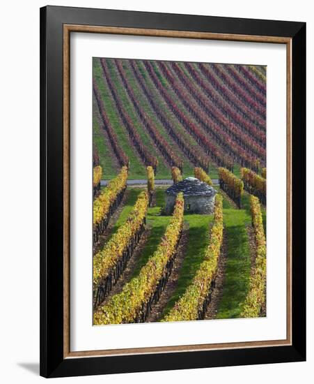 Vineyards in Fall in the Hautes-Cotes of Burgundy-Hans Strand-Framed Photographic Print
