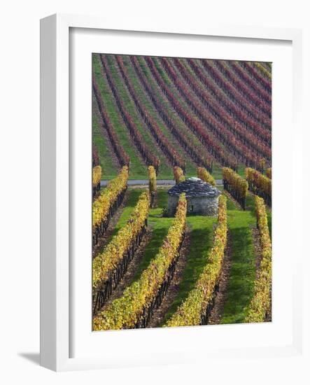 Vineyards in Fall in the Hautes-Cotes of Burgundy-Hans Strand-Framed Photographic Print