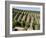 Vineyards in Napa Valley, California, United States of America, North America-Levy Yadid-Framed Photographic Print