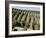 Vineyards in Napa Valley, California, United States of America, North America-Levy Yadid-Framed Photographic Print