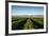 Vineyards in San Joaquin Valley, California, United States of America, North America-Yadid Levy-Framed Photographic Print