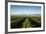 Vineyards in San Joaquin Valley, California, United States of America, North America-Yadid Levy-Framed Photographic Print