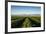 Vineyards in San Joaquin Valley, California, United States of America, North America-Yadid Levy-Framed Photographic Print