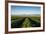 Vineyards in San Joaquin Valley, California, United States of America, North America-Yadid Levy-Framed Photographic Print