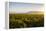 Vineyards in San Joaquin Valley, California, United States of America, North America-Yadid Levy-Framed Premier Image Canvas