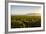 Vineyards in San Joaquin Valley, California, United States of America, North America-Yadid Levy-Framed Photographic Print