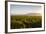 Vineyards in San Joaquin Valley, California, United States of America, North America-Yadid Levy-Framed Photographic Print