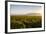 Vineyards in San Joaquin Valley, California, United States of America, North America-Yadid Levy-Framed Photographic Print