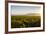 Vineyards in San Joaquin Valley, California, United States of America, North America-Yadid Levy-Framed Photographic Print