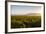 Vineyards in San Joaquin Valley, California, United States of America, North America-Yadid Levy-Framed Photographic Print