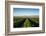 Vineyards in San Joaquin Valley, California, United States of America, North America-Yadid Levy-Framed Photographic Print