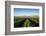 Vineyards in San Joaquin Valley, California, United States of America, North America-Yadid Levy-Framed Photographic Print