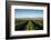 Vineyards in San Joaquin Valley, California, United States of America, North America-Yadid Levy-Framed Photographic Print