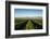 Vineyards in San Joaquin Valley, California, United States of America, North America-Yadid Levy-Framed Photographic Print