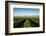 Vineyards in San Joaquin Valley, California, United States of America, North America-Yadid Levy-Framed Photographic Print