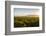 Vineyards in San Joaquin Valley, California, United States of America, North America-Yadid Levy-Framed Photographic Print