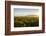 Vineyards in San Joaquin Valley, California, United States of America, North America-Yadid Levy-Framed Photographic Print