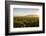 Vineyards in San Joaquin Valley, California, United States of America, North America-Yadid Levy-Framed Photographic Print