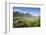 Vineyards in Spring with the Village of Traona in the Background, Lower Valtellina, Italy-Roberto Moiola-Framed Photographic Print