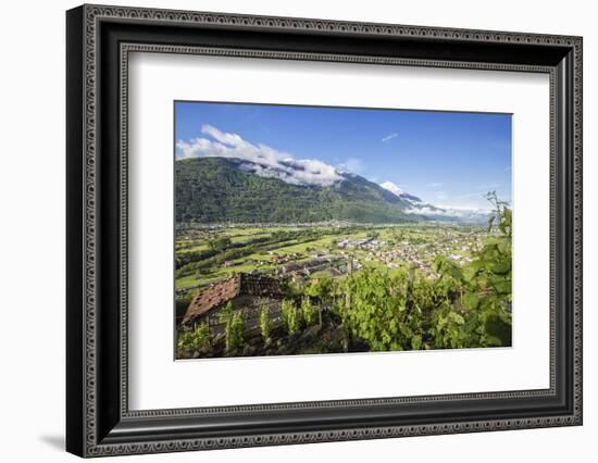 Vineyards in Spring with the Village of Traona in the Background, Lower Valtellina, Italy-Roberto Moiola-Framed Photographic Print