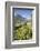 Vineyards in Spring with the Village of Traona in the Background, Lower Valtellina, Italy-Roberto Moiola-Framed Photographic Print