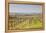 Vineyards in the Cognac Area of France, Charente Maritime, France, Europe-Julian Elliott-Framed Premier Image Canvas