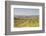 Vineyards in the Cognac Area of France, Charente Maritime, France, Europe-Julian Elliott-Framed Photographic Print