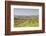 Vineyards in the Cognac Area of France, Charente Maritime, France, Europe-Julian Elliott-Framed Photographic Print