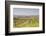 Vineyards in the Cognac Area of France, Charente Maritime, France, Europe-Julian Elliott-Framed Photographic Print