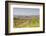 Vineyards in the Cognac Area of France, Charente Maritime, France, Europe-Julian Elliott-Framed Photographic Print