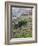 Vineyards in the Cote Rotie District, Ampuis, Rhone, France-Per Karlsson-Framed Photographic Print