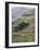 Vineyards in the Cote Rotie District, Ampuis, Rhone, France-Per Karlsson-Framed Photographic Print