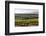 Vineyards in the Rioja Region, Spain, Europe-Martin Child-Framed Photographic Print