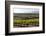 Vineyards in the Rioja Region, Spain, Europe-Martin Child-Framed Photographic Print