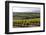 Vineyards in the Rioja Region, Spain, Europe-Martin Child-Framed Photographic Print