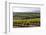 Vineyards in the Rioja Region, Spain, Europe-Martin Child-Framed Photographic Print