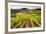 Vineyards in the Rolling Hills of Tuscany-Terry Eggers-Framed Photographic Print