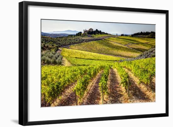 Vineyards in the Rolling Hills of Tuscany-Terry Eggers-Framed Photographic Print