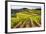 Vineyards in the Rolling Hills of Tuscany-Terry Eggers-Framed Photographic Print