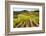 Vineyards in the Rolling Hills of Tuscany-Terry Eggers-Framed Photographic Print