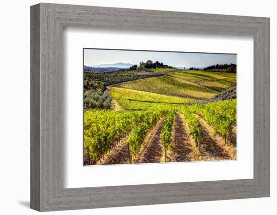 Vineyards in the Rolling Hills of Tuscany-Terry Eggers-Framed Photographic Print