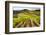 Vineyards in the Rolling Hills of Tuscany-Terry Eggers-Framed Photographic Print