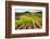 Vineyards in the Rolling Hills of Tuscany-Terry Eggers-Framed Photographic Print