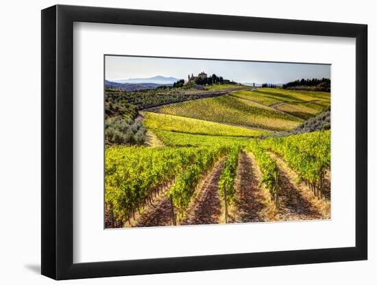 Vineyards in the Rolling Hills of Tuscany-Terry Eggers-Framed Photographic Print